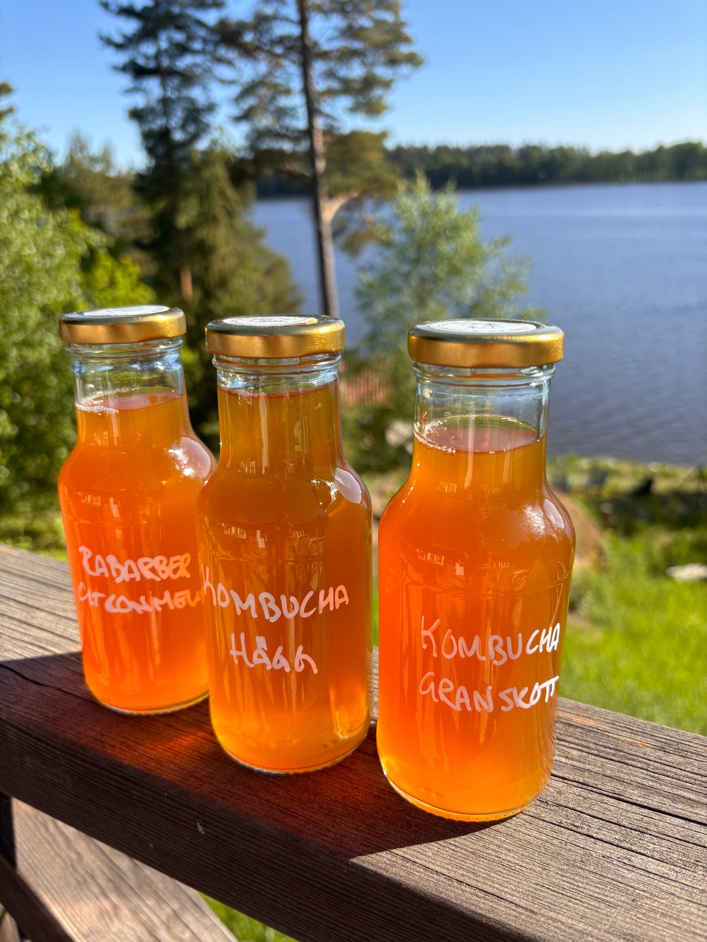 Kombucha